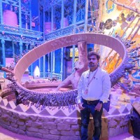 Shadan Sheikh