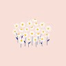 Amelia Labbe