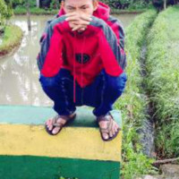 Sardi Saputra