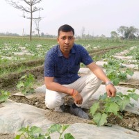 Bindhyachal Kumar