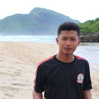 Robin Panjaitan