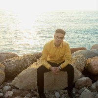 Ramin Bahmani
