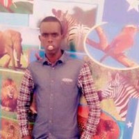 Abdi Ahmed Ali