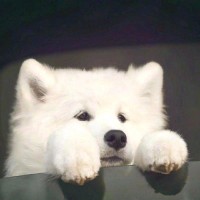 刘璞玉