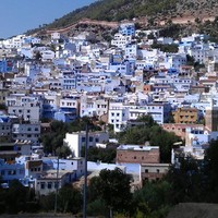 el hafian abdelwahid