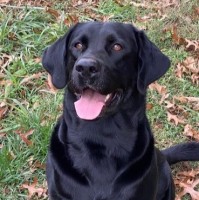 William “Bill” Hedge