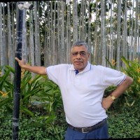 C.A. Indranil Sinha