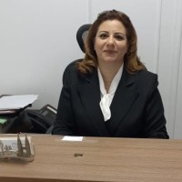 Ereny Nabil