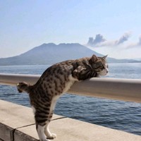 韩颖霞