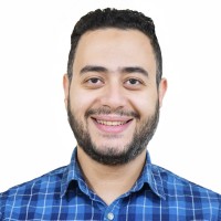 Walid Elghonamy