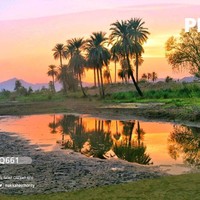 احمد الشمراني