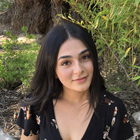 Samina Balakhane