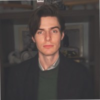 Dalton Dianellos
