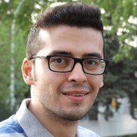 Mohammad Mahdi Honari