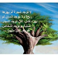 Hany Mosbah
