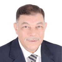 Amr ELTahawy
