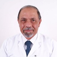 Mohamad Itani