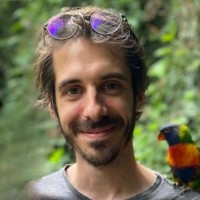 Guillem Cardús Botella