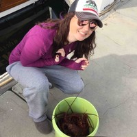 Julie Rose Dodson Baisinger