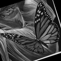 Mariposa “Loves Agave”