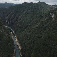 任永平