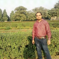 Nitin Mahipal