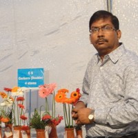 Karuna Das