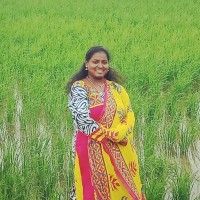 Praveena Vijay