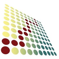 CIC Executive Director