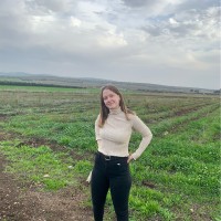 Or Pershikov
