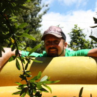 Juan Francisco Sweida Poblete