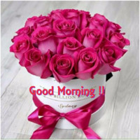 bijay Prasad