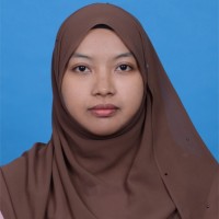 Raja Nur Haizun Raja Azizi