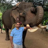 Krishnamurthy V