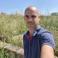 avi halfon