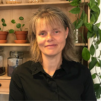 Lis Hammelsvang