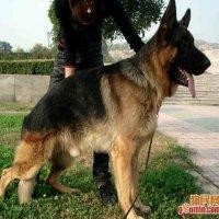 黄有孝
