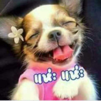 Chok chai Seejuansuk