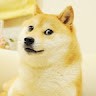 Doge Undefined