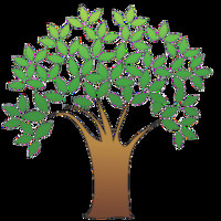 Kalptarushikha Nidhi Ltd.