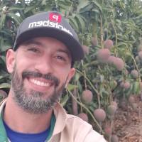 Raphael Caldas