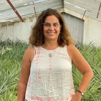Patrícia Villarinho Pereira • Alme
