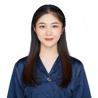 Yajie Li