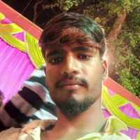 Salamuddin ansari