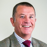 Tim Hollingsworth