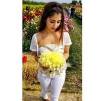 Amanie Ayach