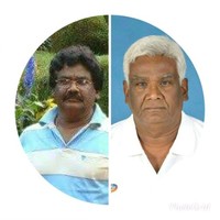 Vijayakumar Chakkarapani
