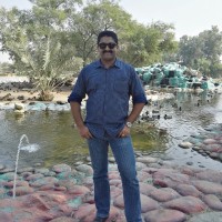 Bimal Balagopal