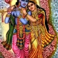 Yogesh Kumar