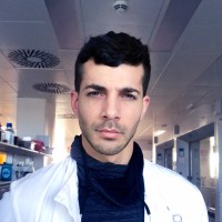 Mehdi Zaghouani